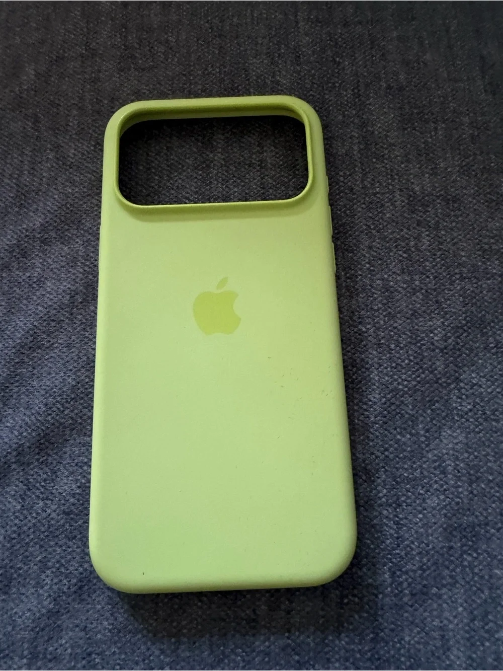 iPhone 17 Pro Max Apple Silicone Case